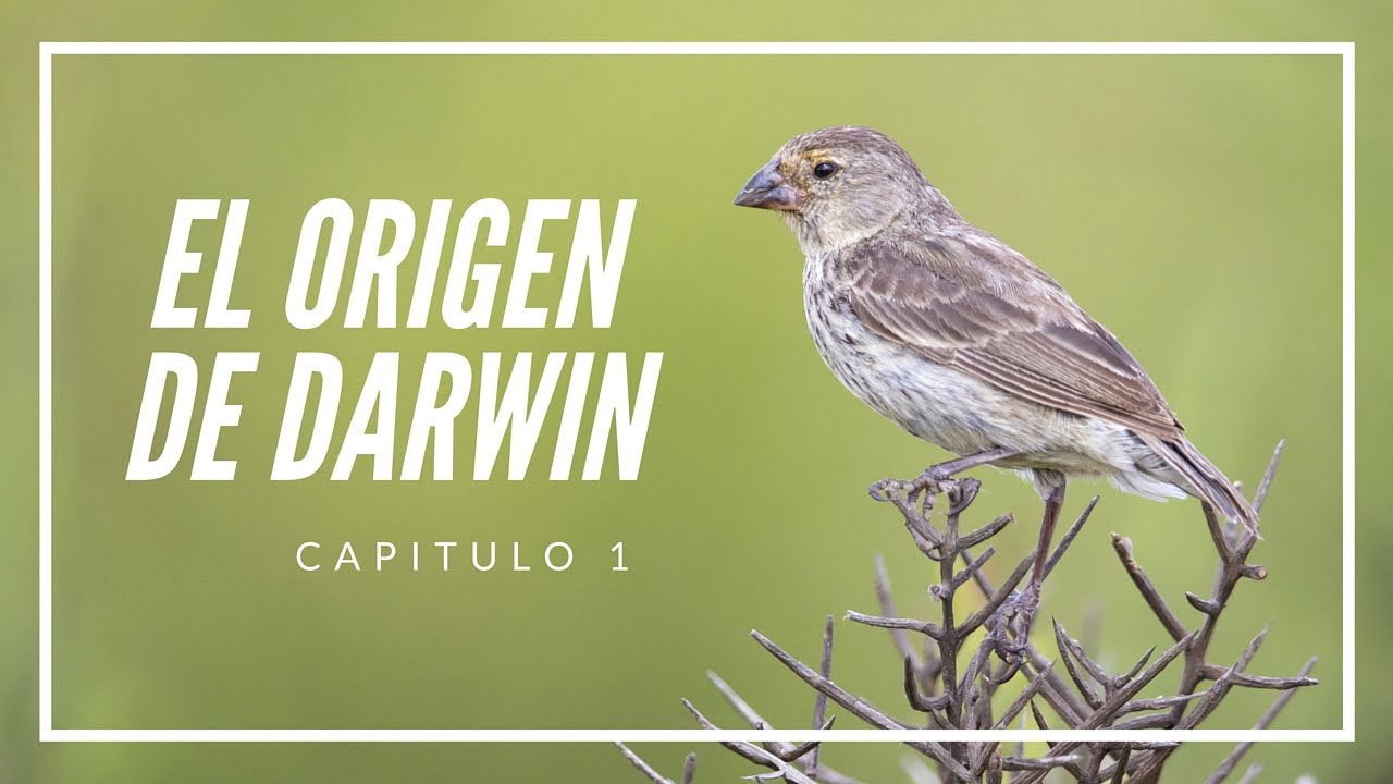 El origen de Darwin