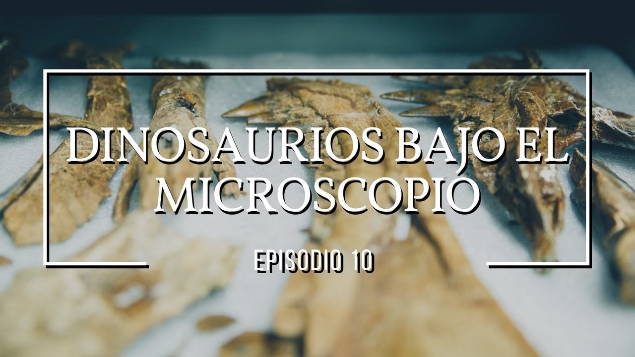 Dinosaurios bajo el microscopio