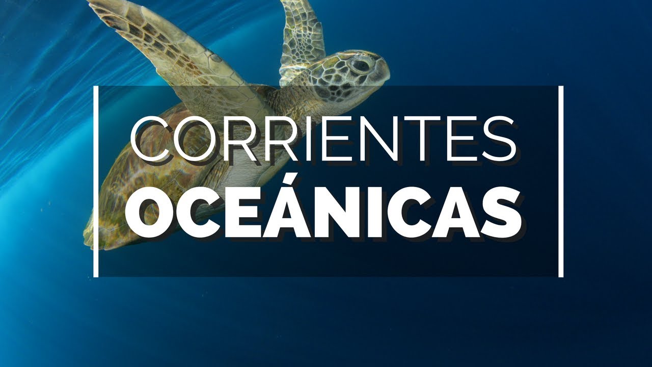 Corriente océanicas