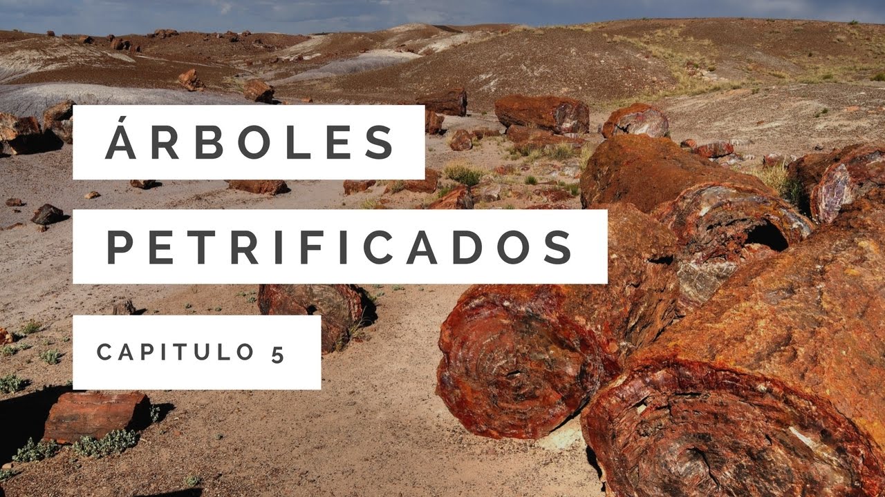 Árboles petrificados