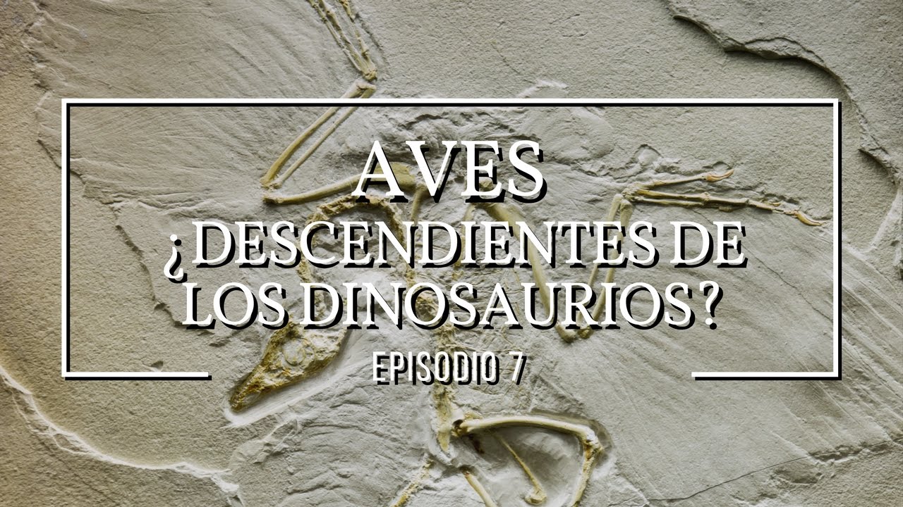 ¿Descendientes de los dinosaurios?