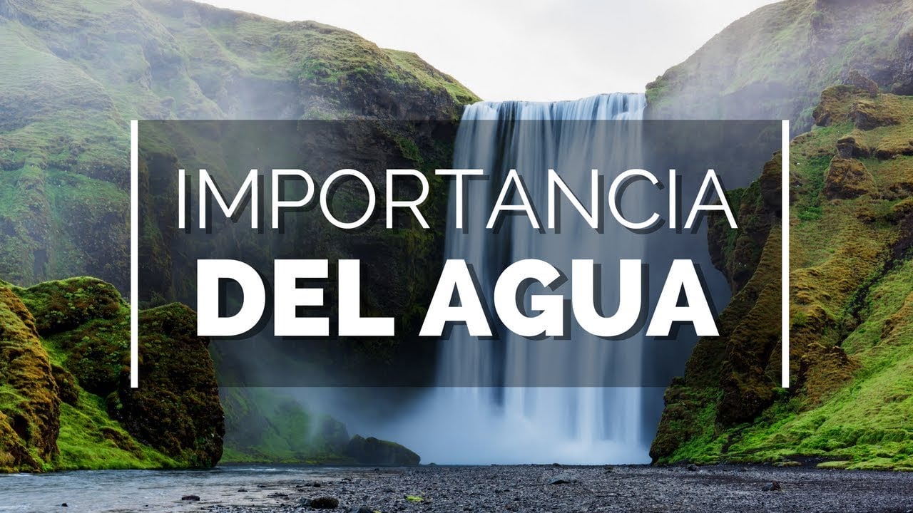 Importancia del agua