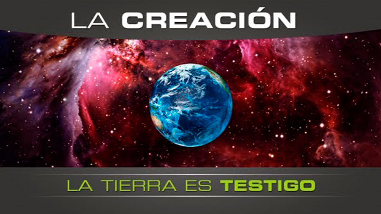 video-section-banner-image