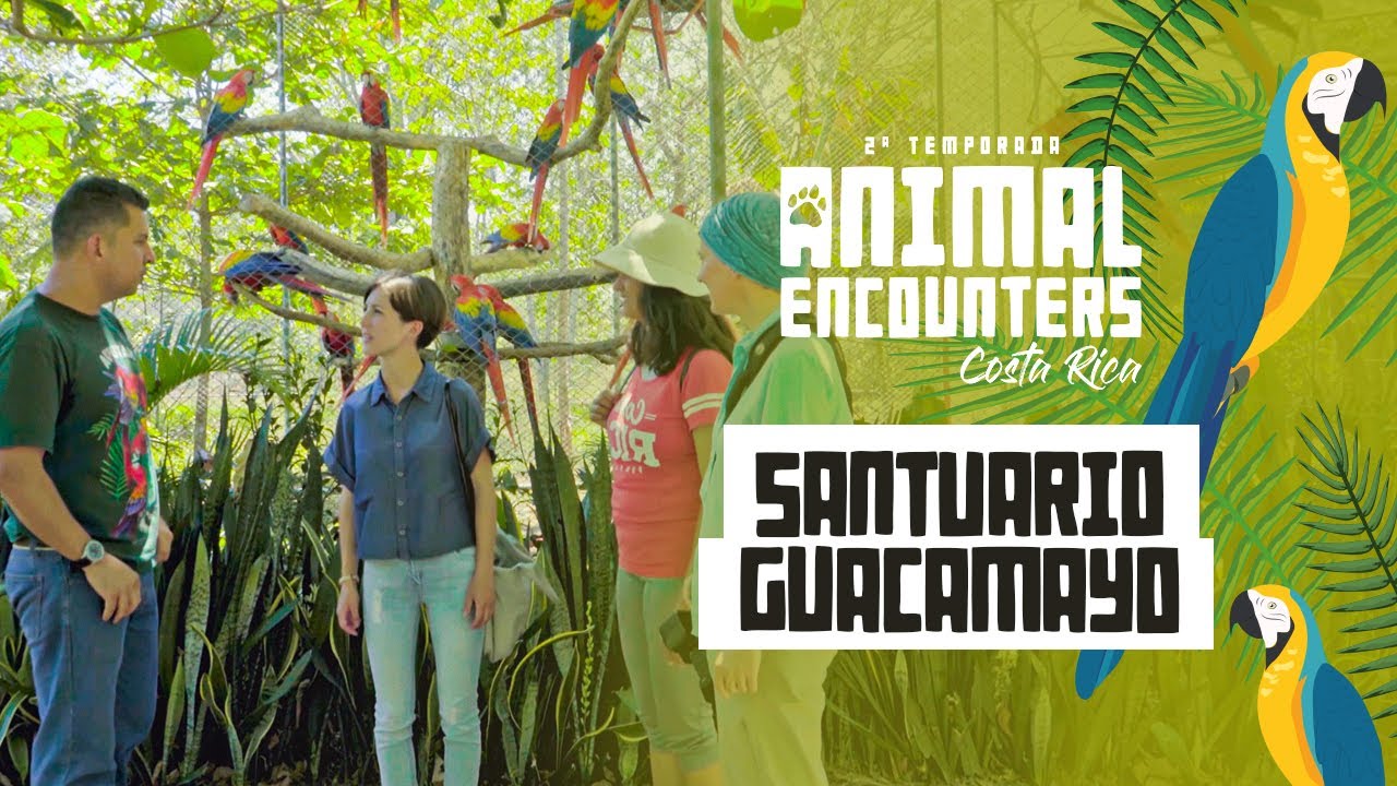 Santuario guacamayo