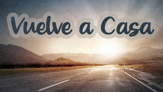 video-section-banner-image