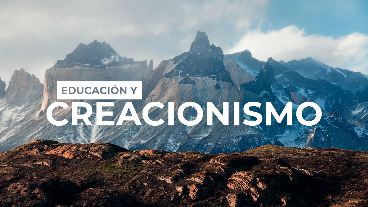 video-section-banner-image