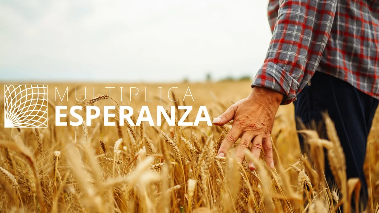 video-section-banner-image