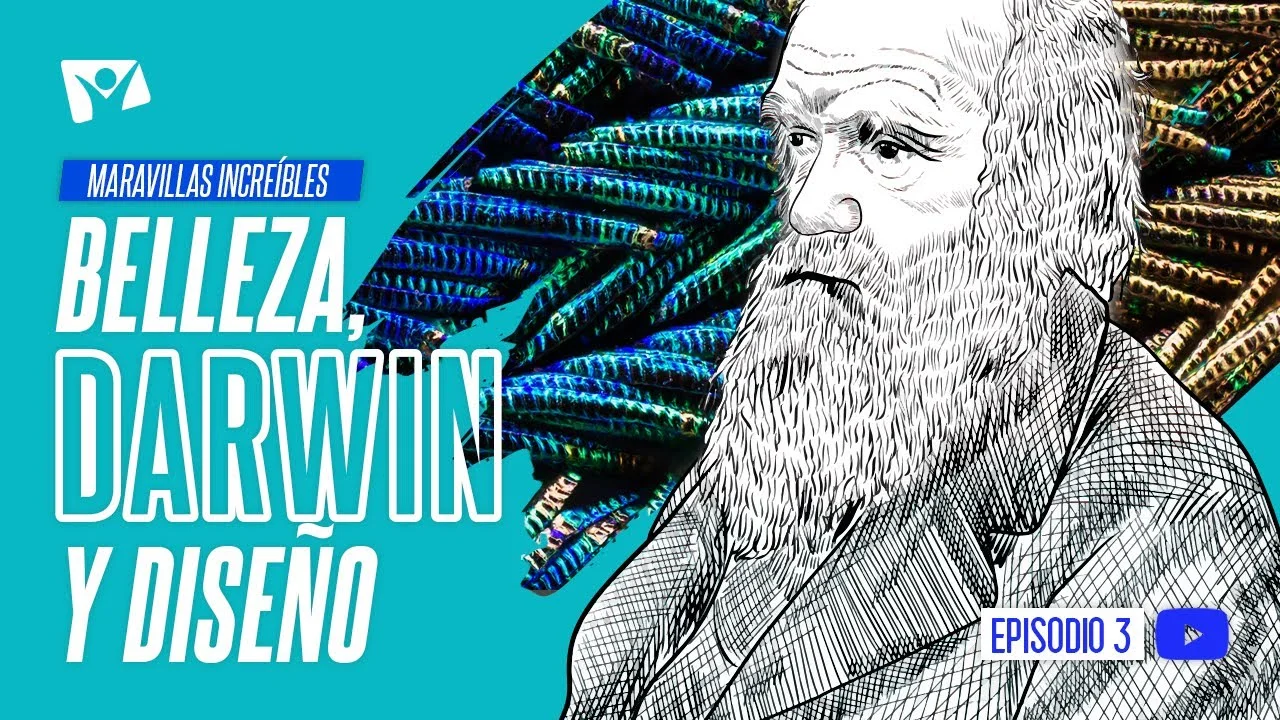 Belleza, Darwin y Diseño