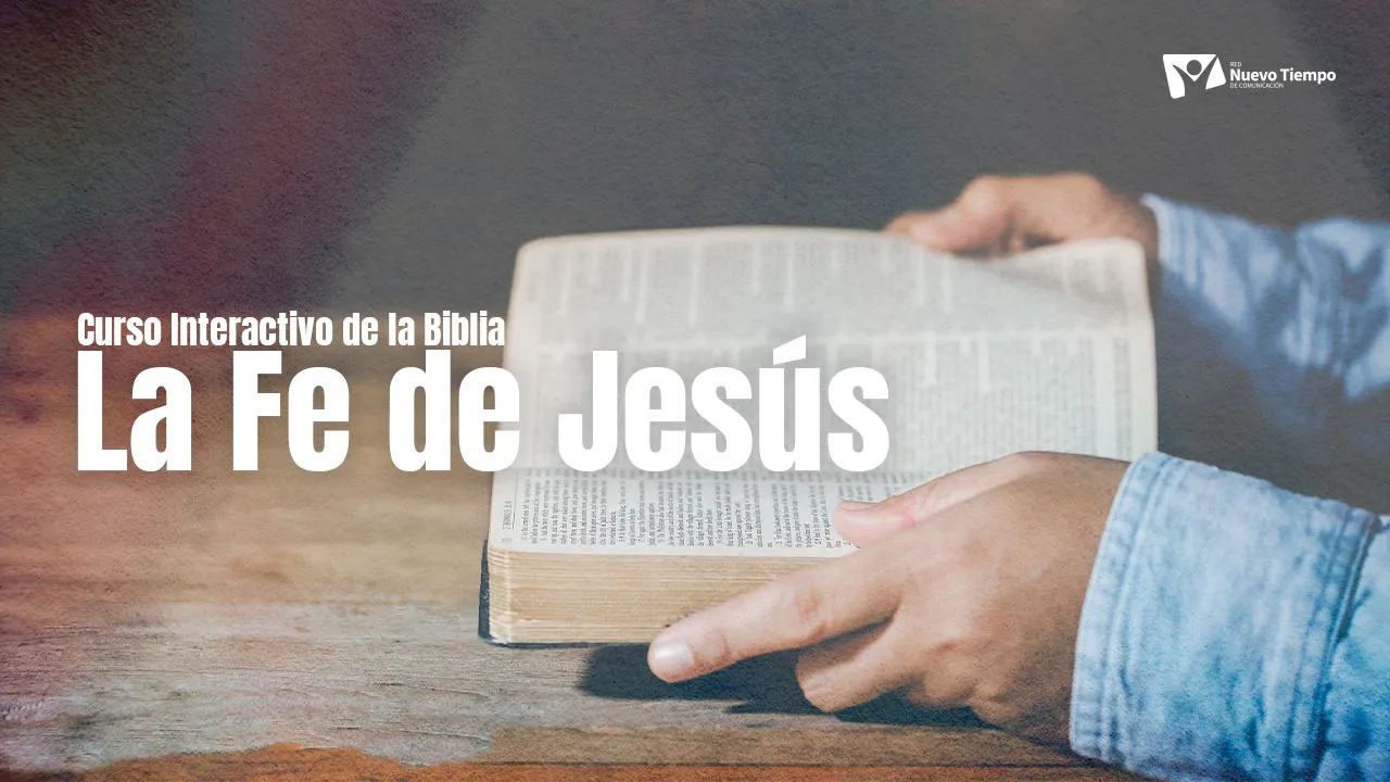 video-section-banner-image