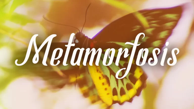 Metamorfosis