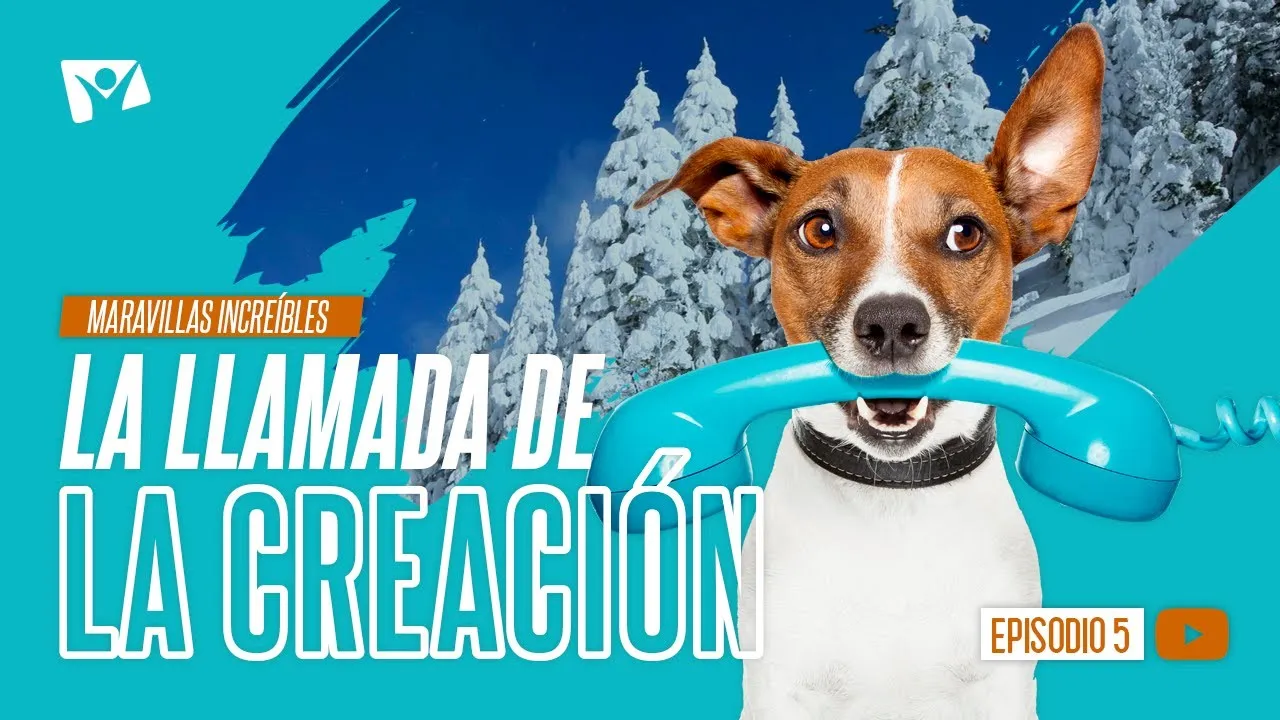 La llamada de la creación