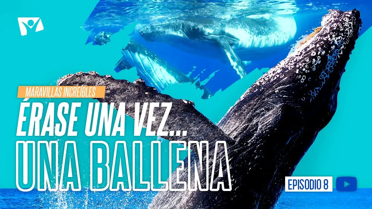 Érase una vez... una ballena