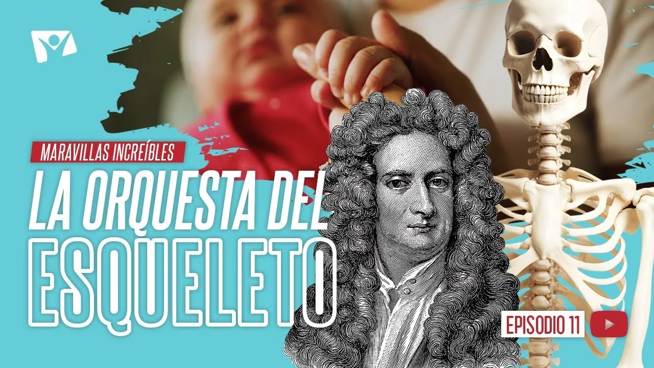 La orquesta del esqueleto