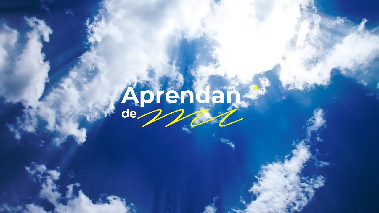 video-section-banner-image