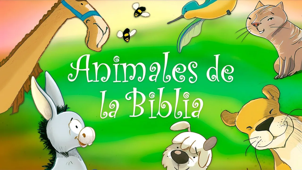 video-section-banner-image