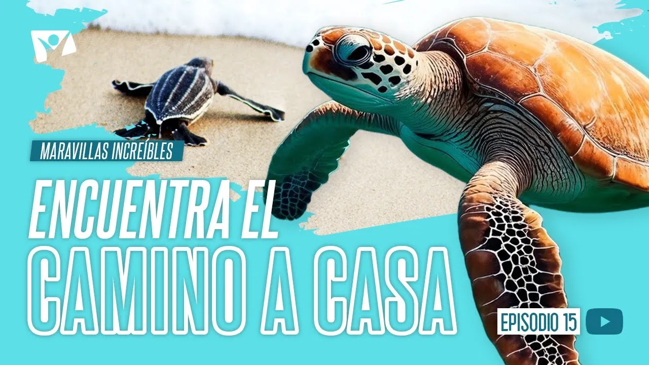 Encuentra el camino a casa