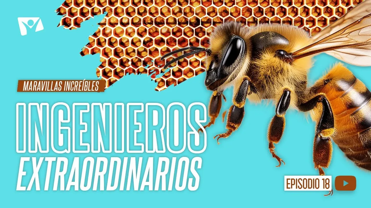 Ingenieros extraordinarios