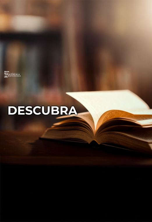 Descubra