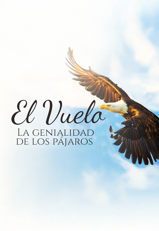 El vuelo