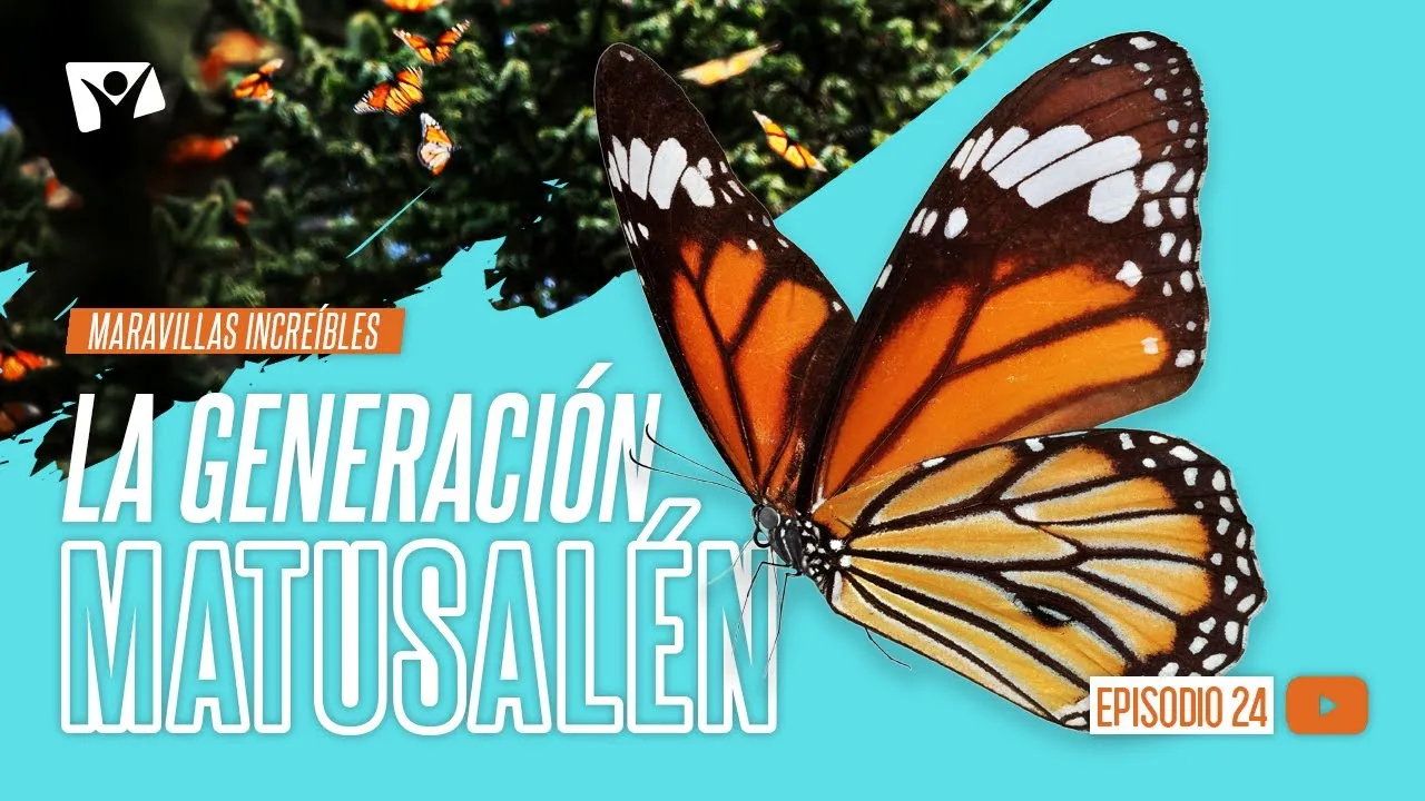 La Generación Matusalén