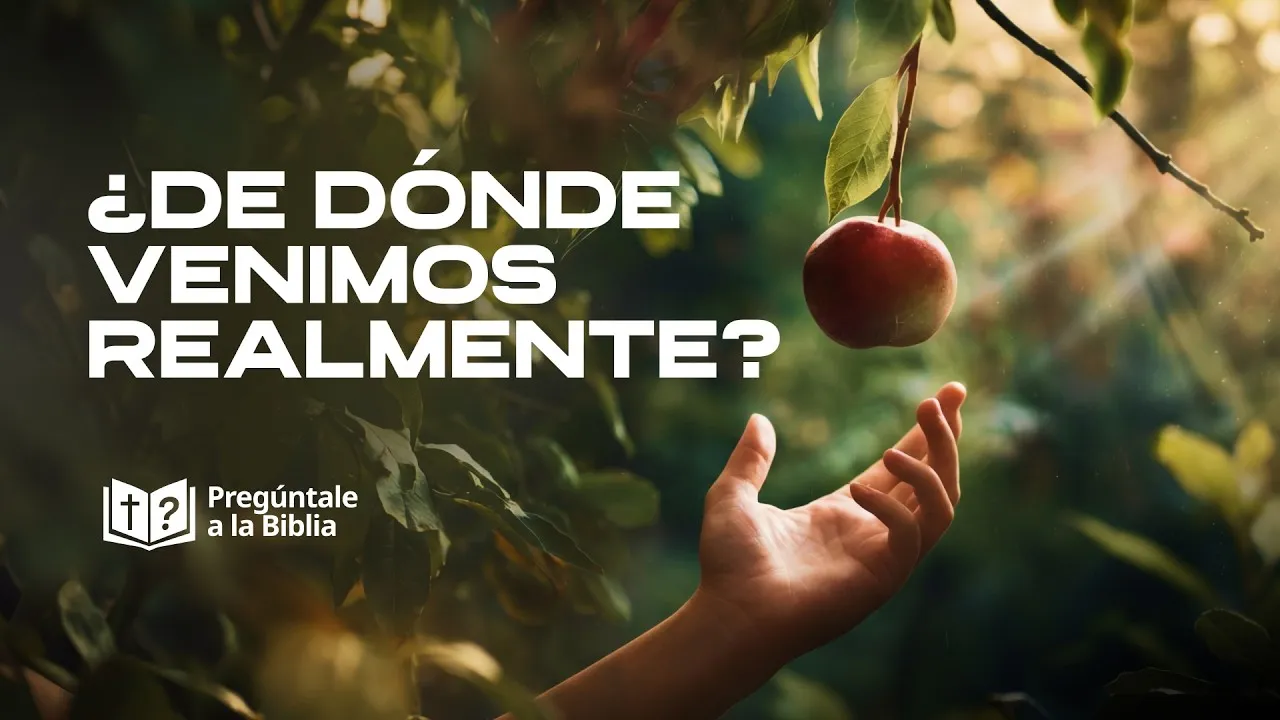 ¿Hemos evolucionado del mono?