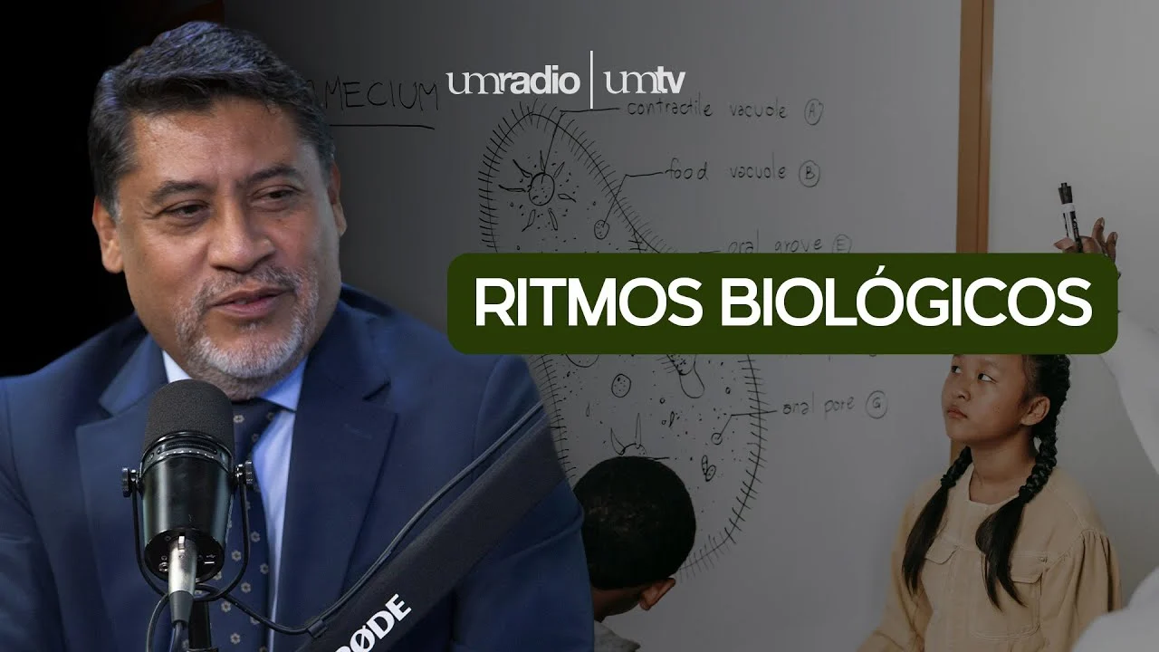 Ritmos Biológicos: Luz, Sueño y Cronodisruptores Explicados